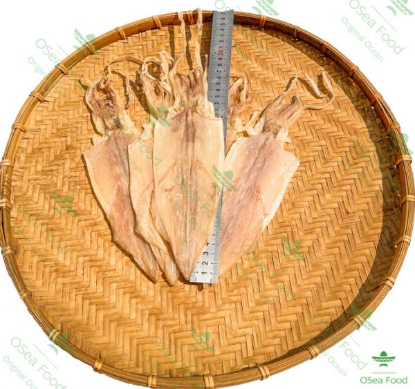 Khô Mực câu 16-20 con