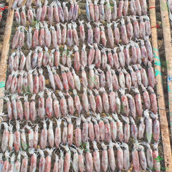 kho muc chuoi nguyen con